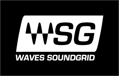 Waves Soundgrid Logo Color - Correct