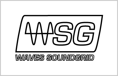 Waves Soundgrid Logo Color - Wrong