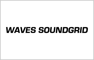 Waves Soundgrid Logo Format - Wrong