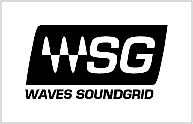 Waves Soundgrid Logo Format - Correct