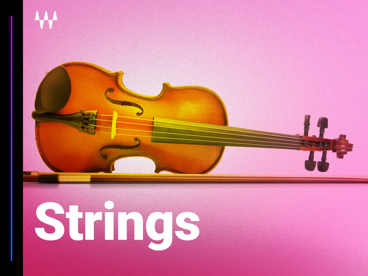 String These Together WavesAudio StudioVerse Waves