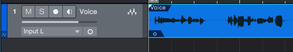 Create a new audio track and import or record the vocal signal