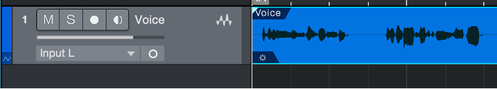 Create an audio track and import or record your vocal signal